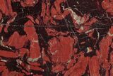 Polished Snakeskin Jasper Slab - Western Australia #221531-1